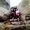 Photo of Estefani C.