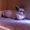 Photo of Daisy C.