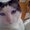 Photo of Q T.