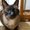 Photo of Mocha C.