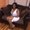 Photo of Ashley C.