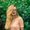 Photo of Jessica M.