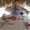 Photo of Zach M.