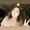 Photo of Anjelica T.