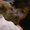 Photo of Rosanna R.