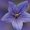 Photo of Qype User (jochap…)