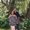 Photo of Tami K.