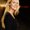 Photo of Kendra M.