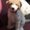 Photo of Starla H.