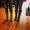 Photo of Iliana G.