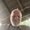 Photo of Doug D.