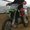 Photo of Dave M.