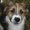 Photo of Qype User (klausb…)