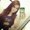 Photo of Abby H.