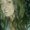 Photo of McKenzie C.