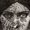 Photo of Bridget R.