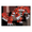 Photo of Groudon G.