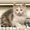 Photo of Charvi N.