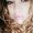 Photo of Luci C.