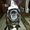 Photo of Debey B.