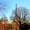 Photo of Eve F.