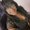 Photo of Staci S.