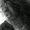 Photo of Daysha D.