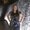 Photo of Jennifer E.