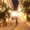 Photo of Sheetal K.
