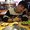 Photo of Khanh T.