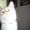 Photo of Hi C.