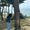Photo of Priya S.
