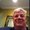 Photo of Andy P.