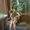 Photo of Rachel M.