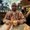 Photo of Vidhan C.