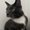 Photo of Denice Y.