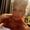 Photo of Marlene P.