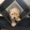 Photo of Harley E.