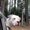 Photo of Tink R.