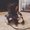 Photo of Apurva C.