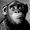 Photo of Emmanuil S.