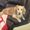 Photo of Skye S.