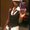 Photo of Dee K.