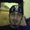 Photo of Ryan K.