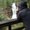 Photo of - Nick -.