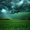 Photo of Joy H.