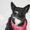 Photo of Kathie M.