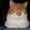 Photo of Qype User (dertin…)