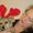 Photo of Joann M.
