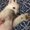 Photo of Dalin L.